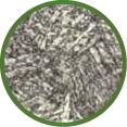 Oval
