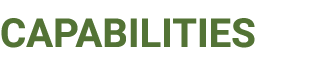 CAPABILITIES